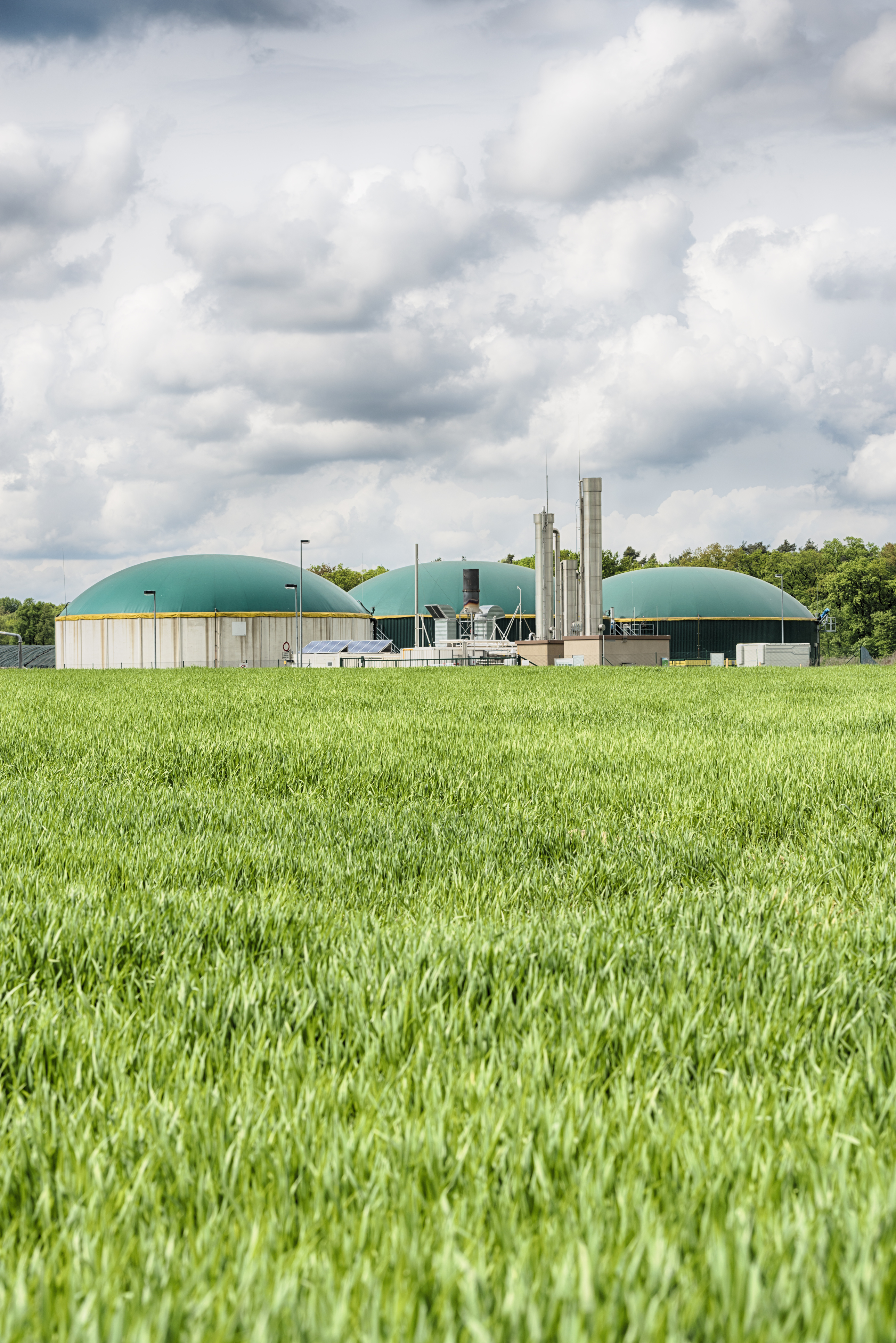 Biogas Production | Specialty Gases | Coregas NZ