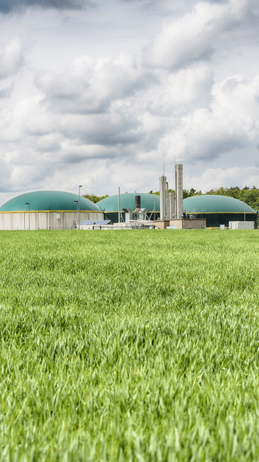<p>Biogas</p>