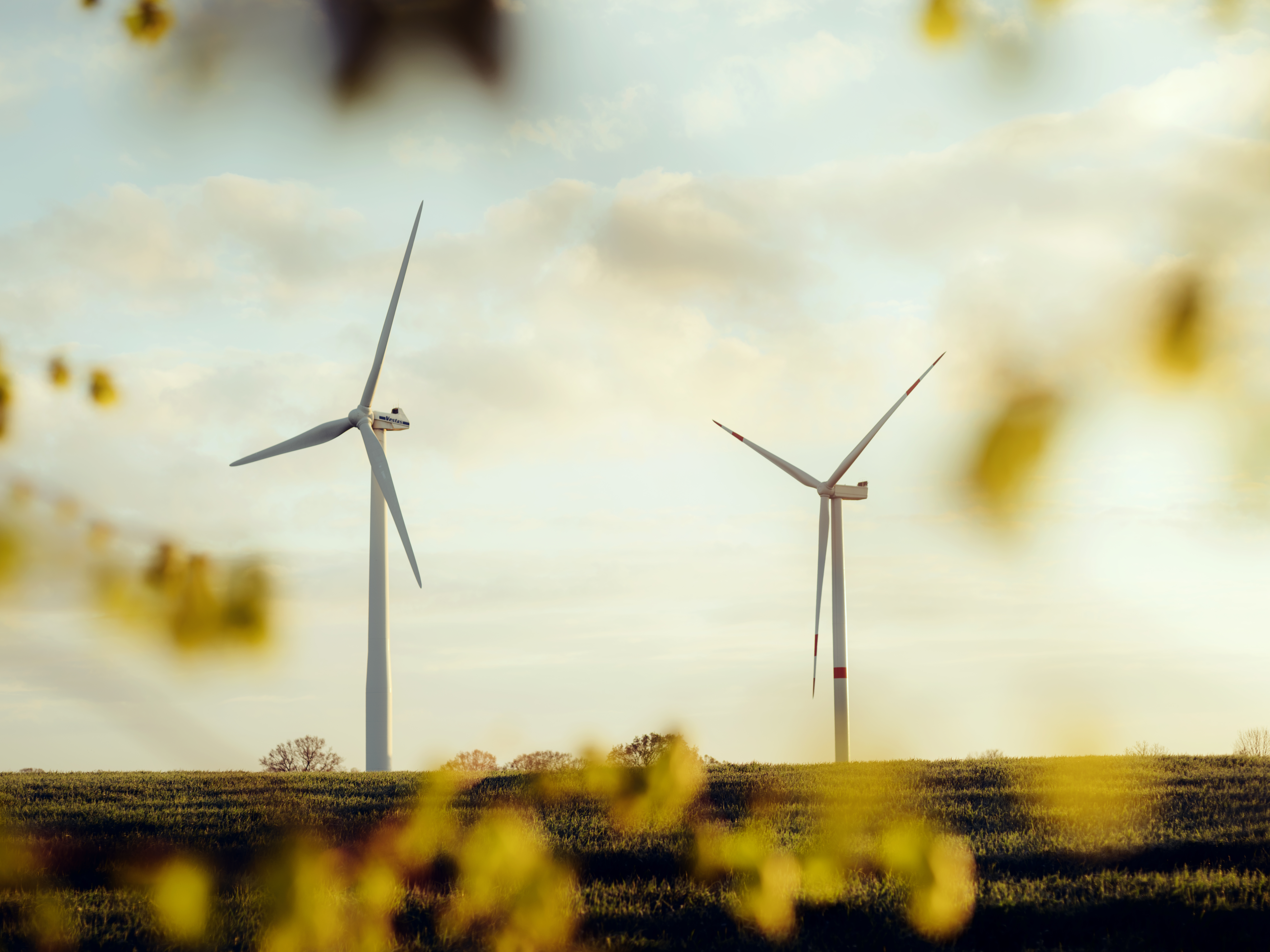 Image showing turbines behind leafs