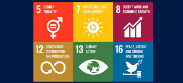 UN Sustainable Development Goals