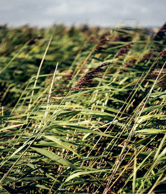 JBN KITESURF 02536
