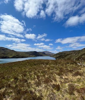 Site Image