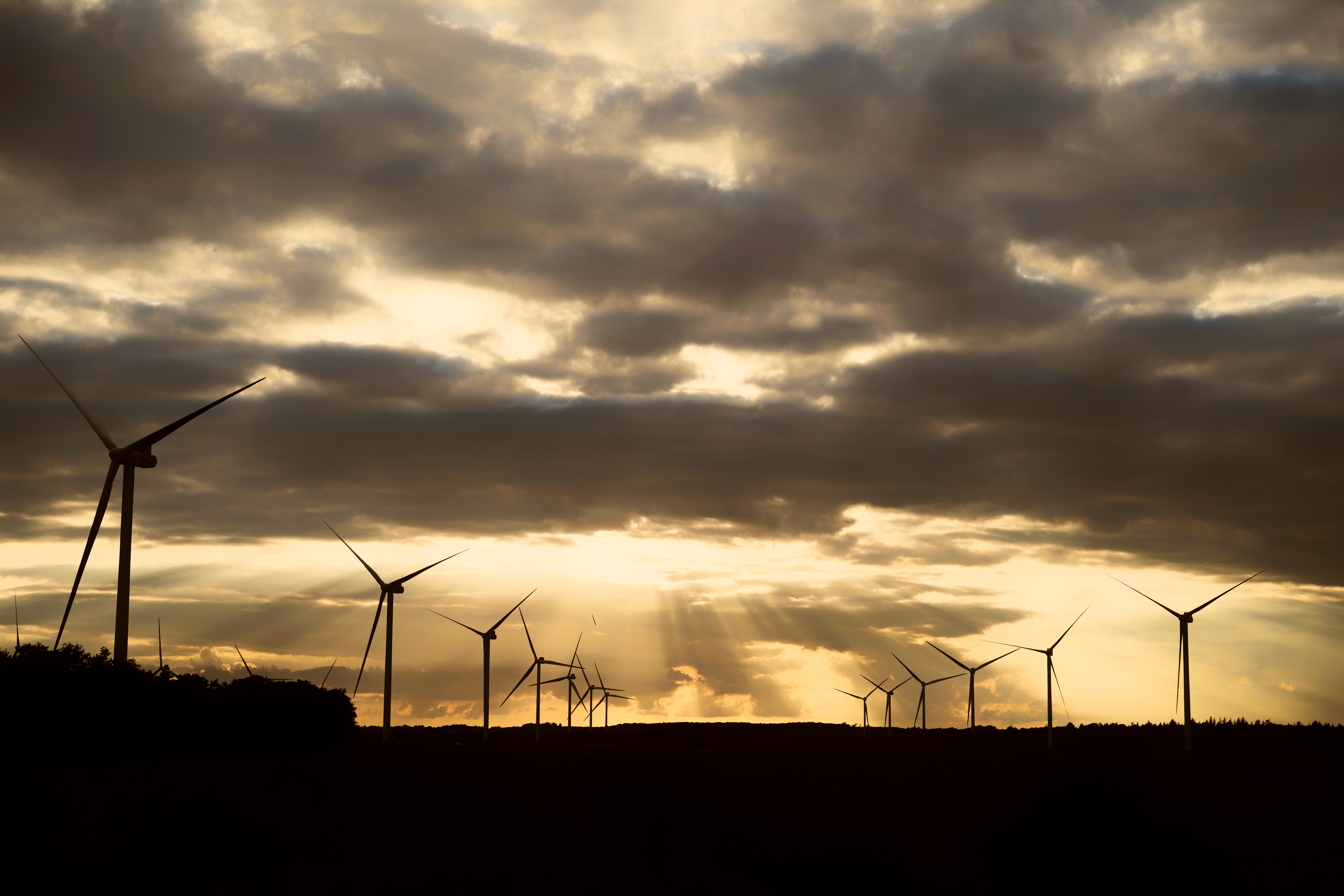 Whistleblowerordning