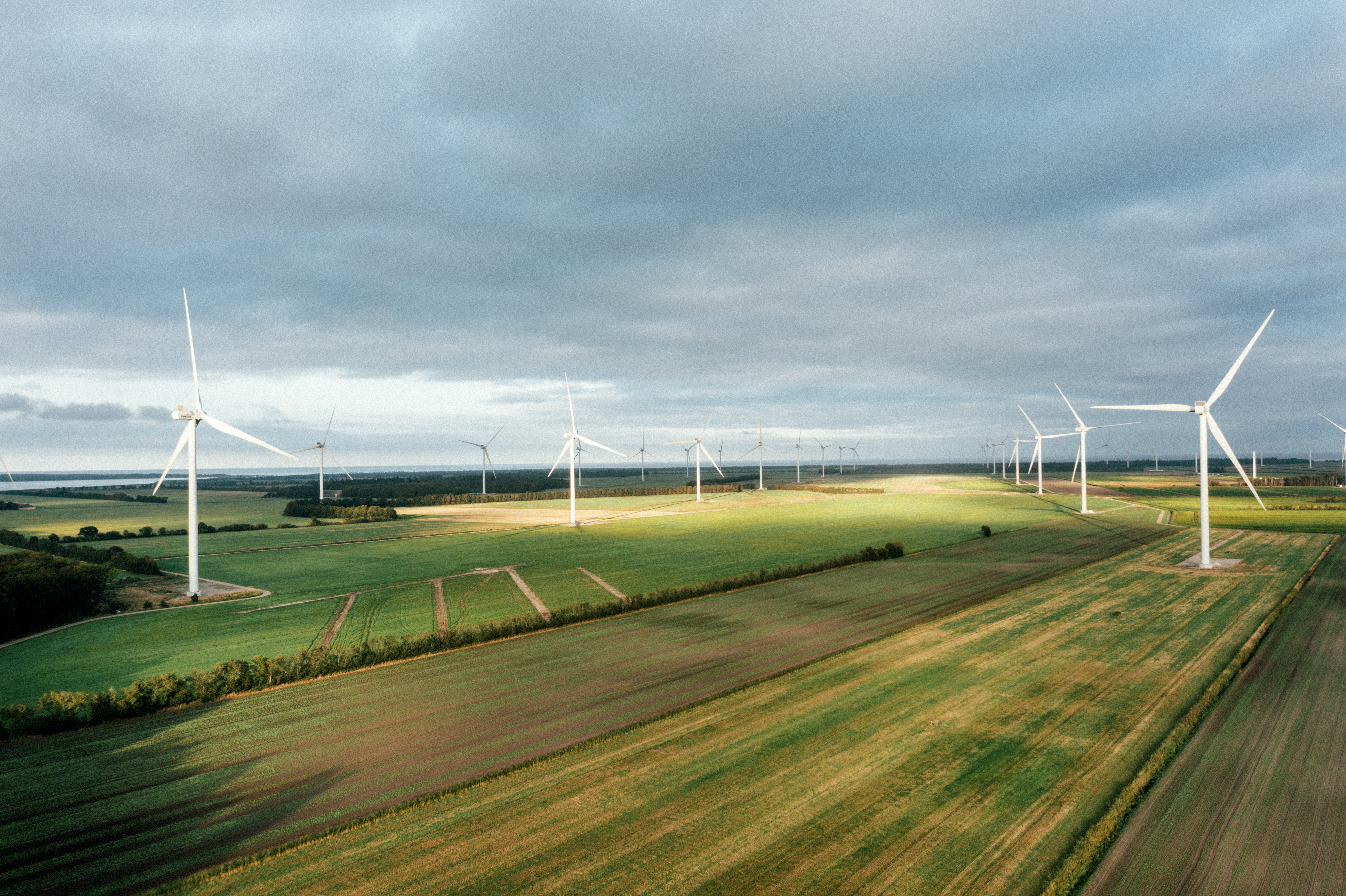 Investor Relations Presentations 