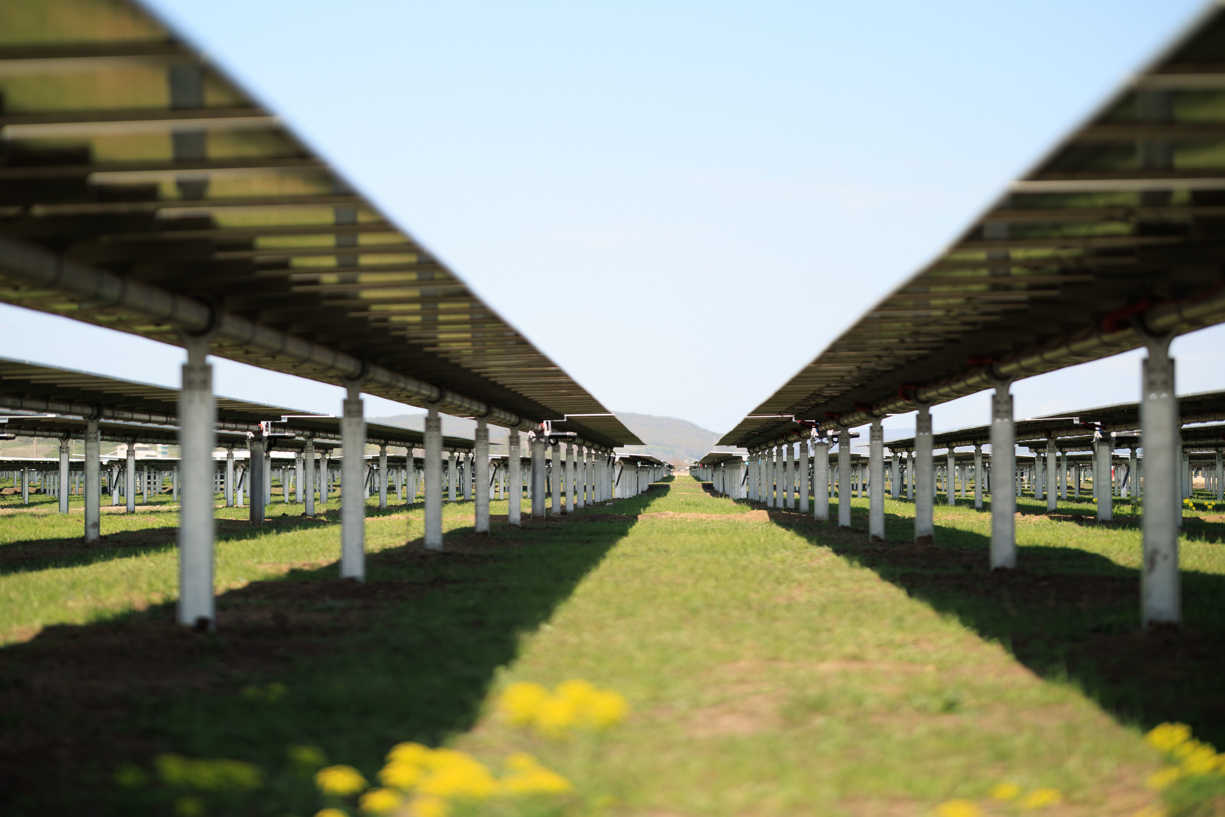 <p>Nos projets Agrivoltaïques</p>